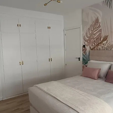 Apartment Centro Ancha De Gracia *