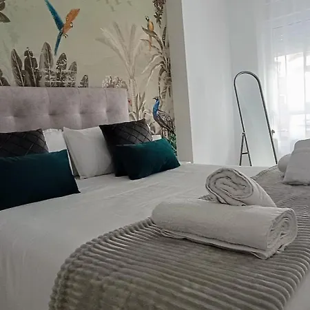 Apartment Centro Ancha De Gracia