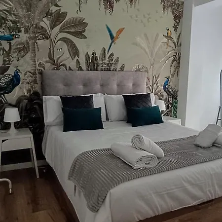 Centro Ancha De Gracia Apartment